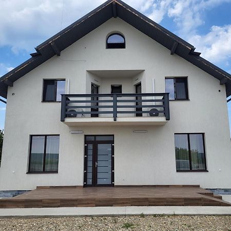 Pensiunea Vlad Micesti Exterior foto